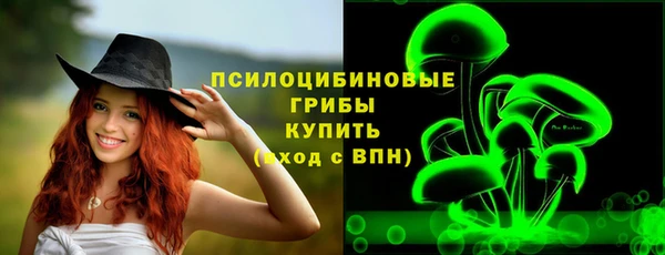 спиды Мегион