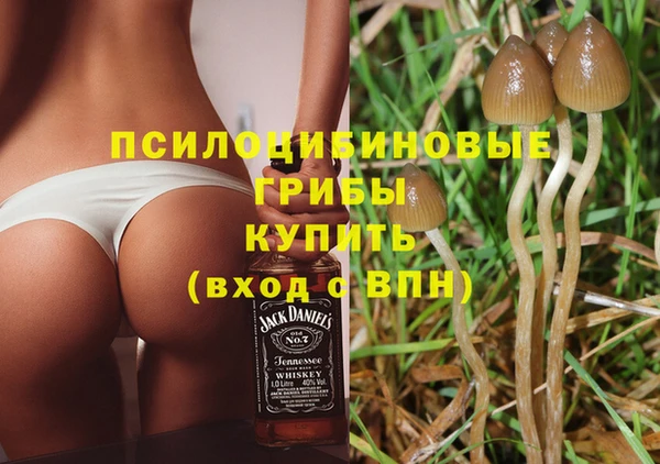 стаф Абинск