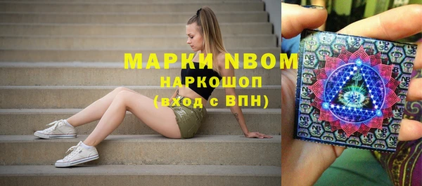 стаф Абинск