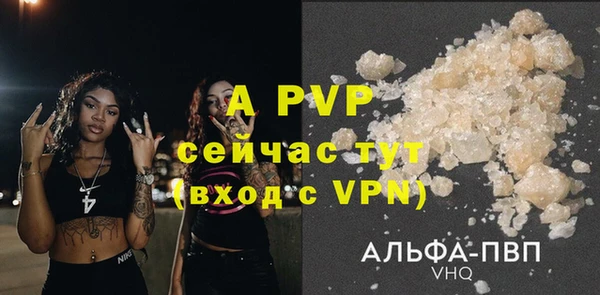 стаф Абинск